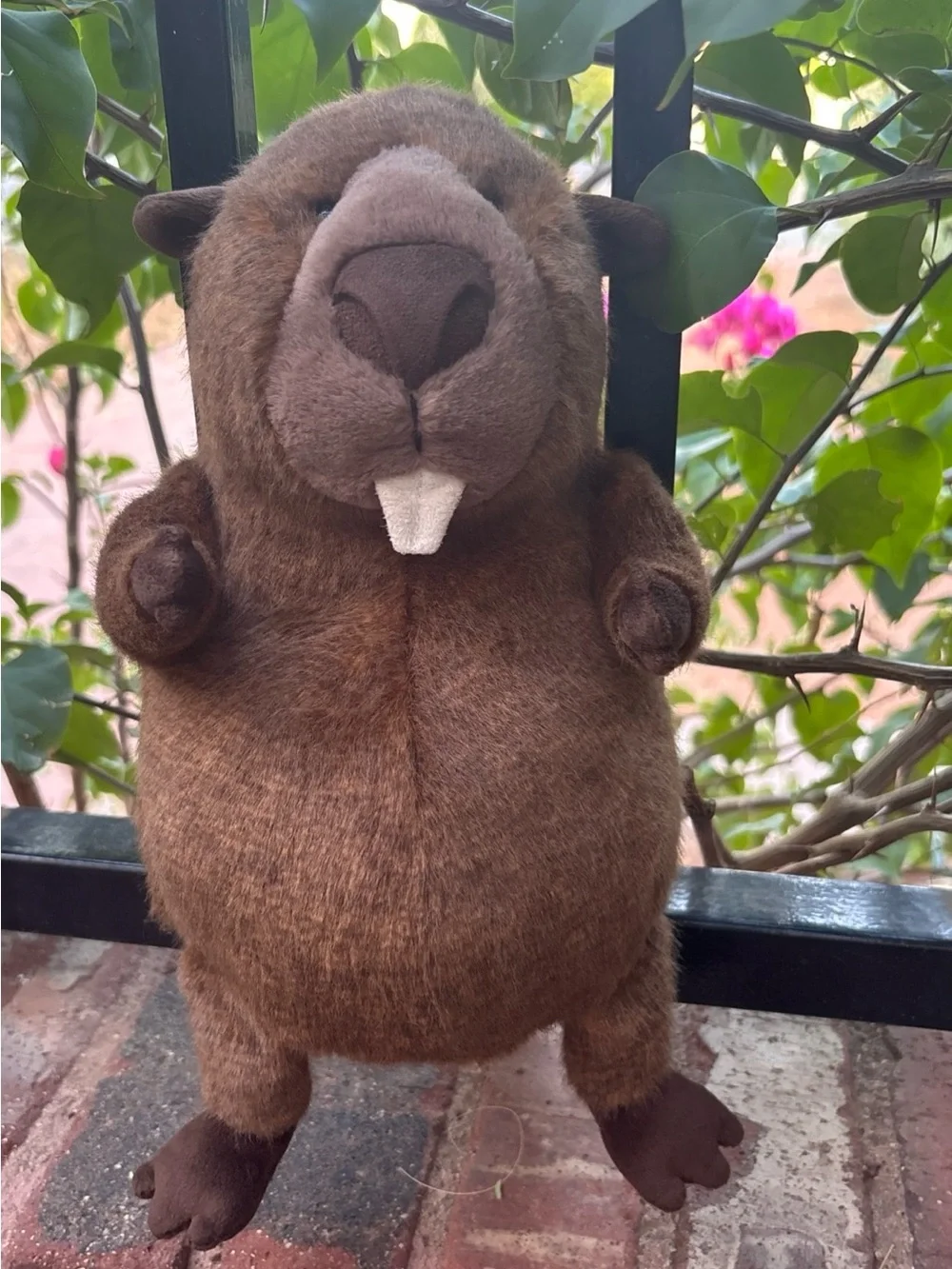 Exclusive Jellycat BRIGGS BEAVER Canada NWT brown softy HTF